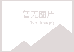 山阴县紫山化学有限公司